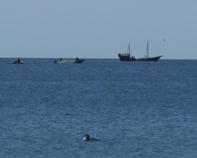 Прикрепленное изображение: 062.jpg